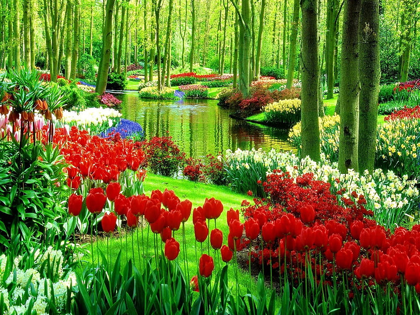 Green Park With Flowers Nature Full . Most beautiful gardens, Beautiful  gardens, Amazing gardens HD wallpaper | Pxfuel