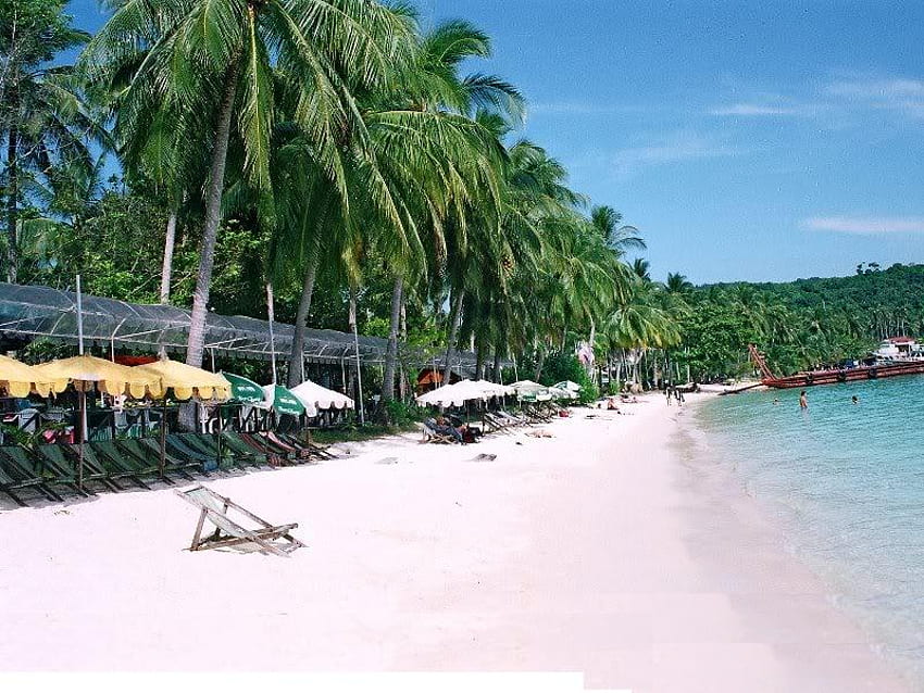 Ko Phi Phi Don Island, Thailand, trees, sand, water, beach HD wallpaper