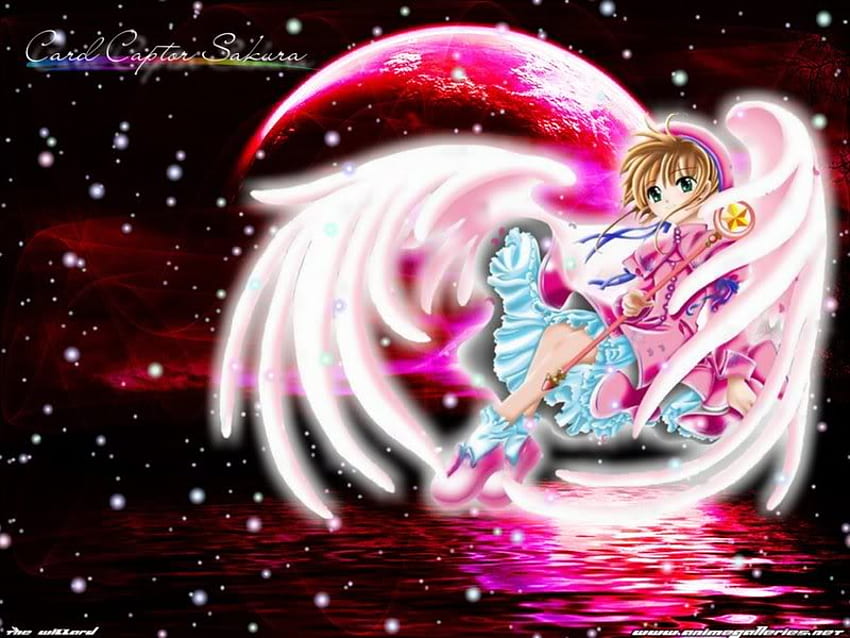 Card Captor Sakura, alas, rosa, sakura fondo de pantalla