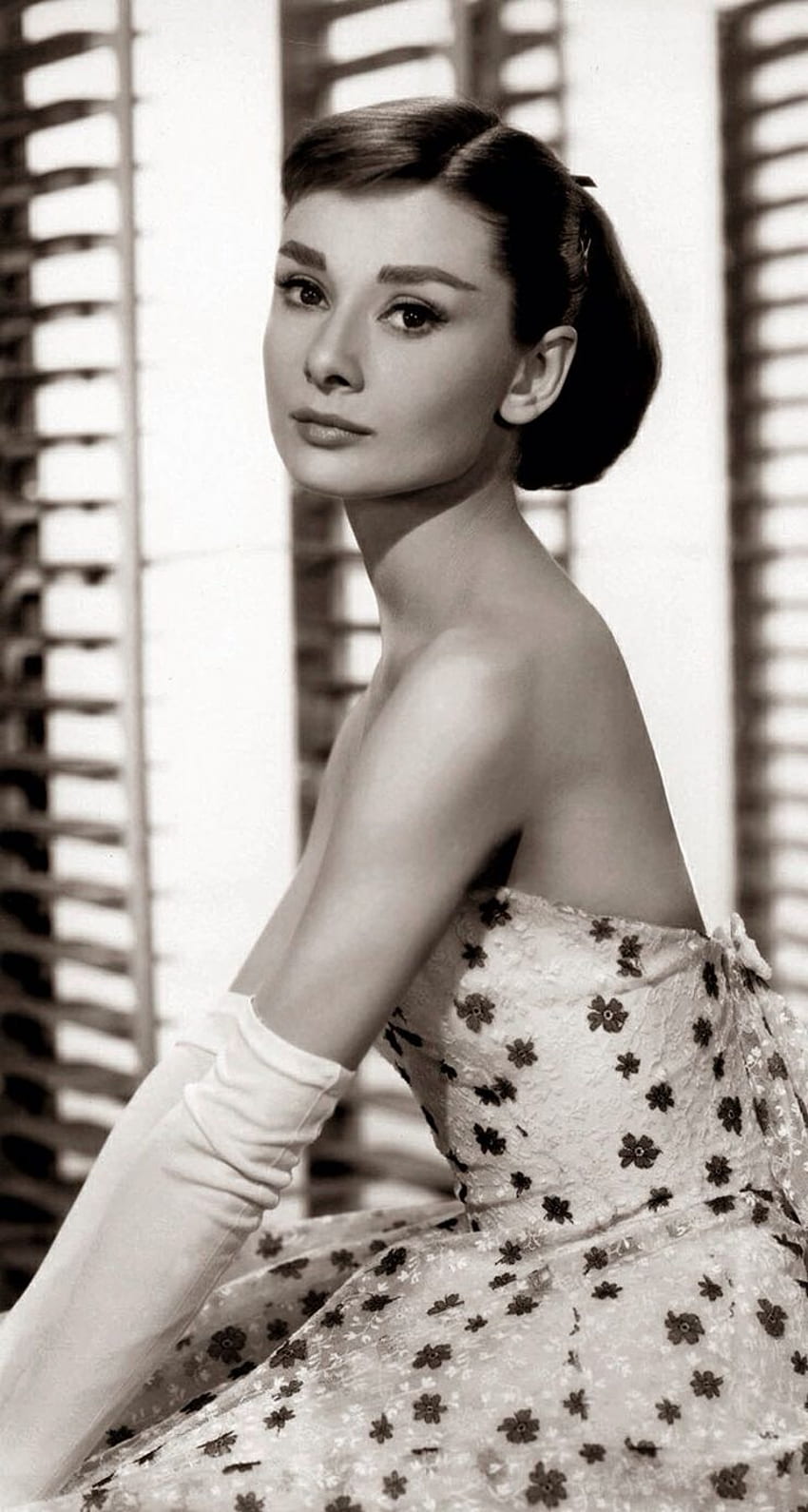 Audrey Hepburn - - fondo de pantalla del teléfono