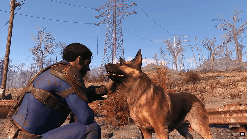 Fallout 4 - Huli iā Google. Magazine Inspiration, Dog Meat Fallout 4 HD ...