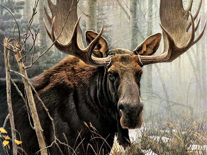 Bull Moose, animale, arte, bellissimo, illustrazione, opera d'arte, schermo panoramico, fauna selvatica, pittura, alce, cervo, natura Sfondo HD