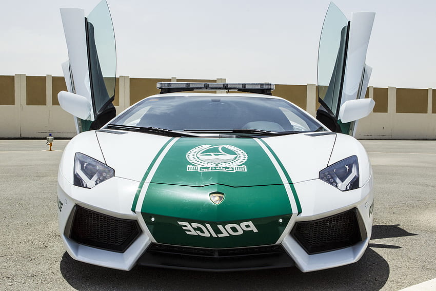Dubai to World: Forget Our Debt Crisis, Look at This Shiny Car HD wallpaper