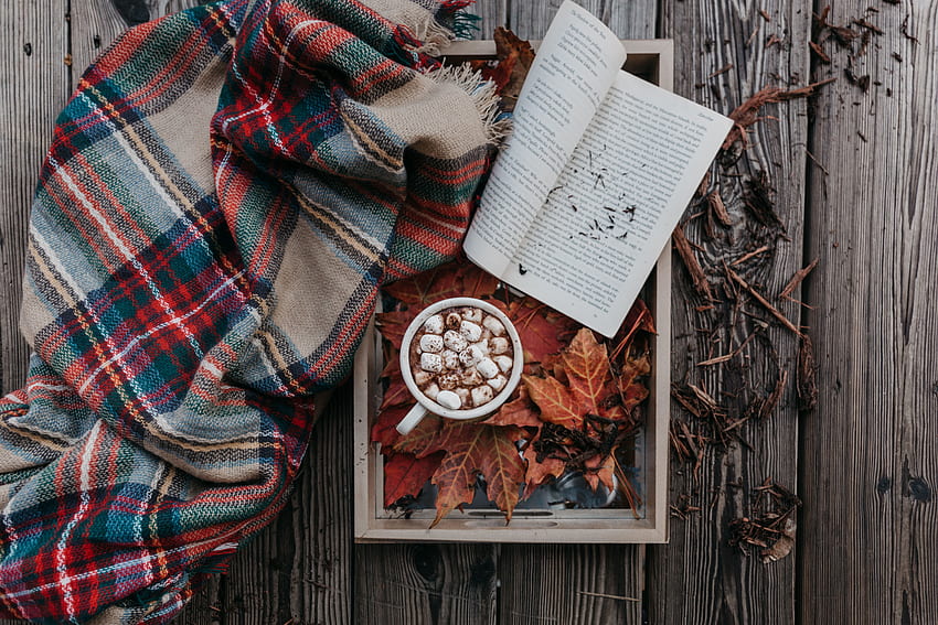 Essen, Herbst, Buch, Zephyr, Marshmallow, Kakao, Plaid HD-Hintergrundbild