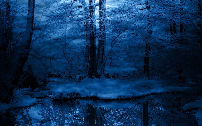 Winter Woodland, blue, river, winter, cold, dusk, wood, reflection, snow, nature, water, forest HD wallpaper