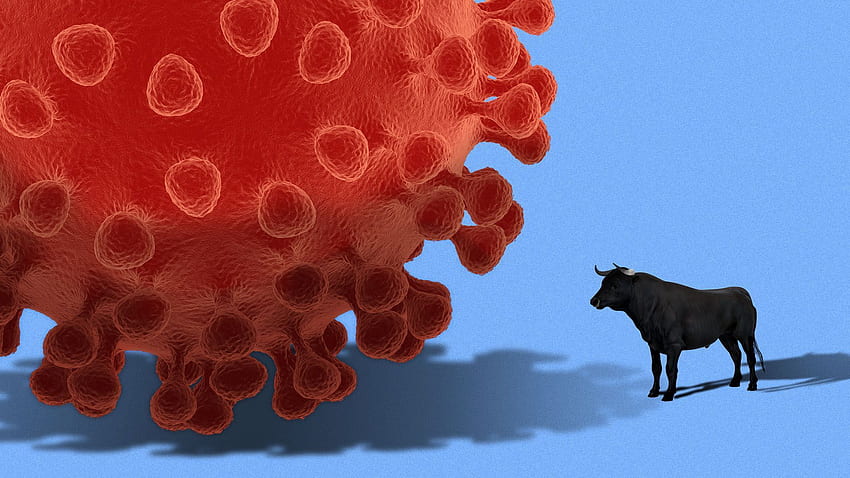 How coronavirus turmoil differs from a financial crisis HD wallpaper