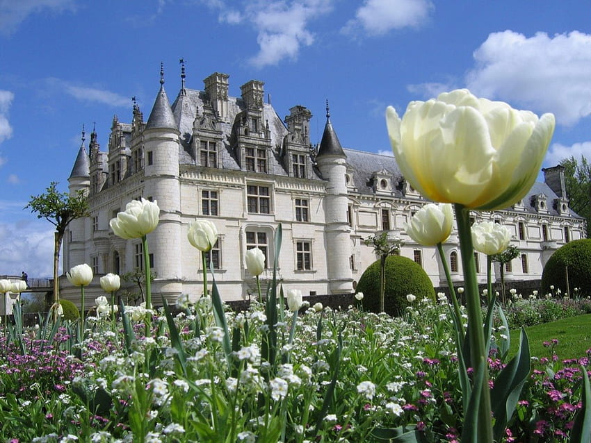 Pałac Cheanonceau, fajny, biały, świetny, ładny Tapeta HD