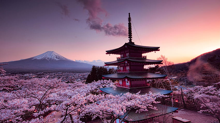 The Treetop Temple Protects Kyoto  Nature desktop, Nature desktop