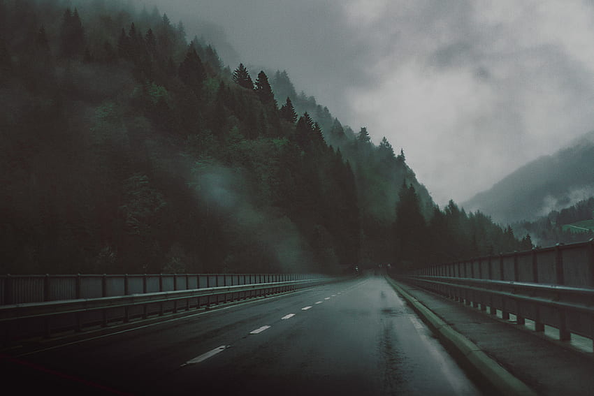 /スイスの美しい山の森の隣にある空の濡れた道、暗い森のそばの道、暗い森 高画質の壁紙