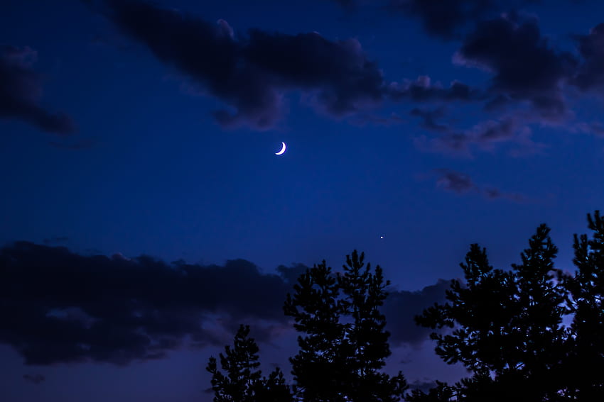 Drzewa, Niebo, Noc, Chmury, Księżyc, Ciemność Tapeta HD