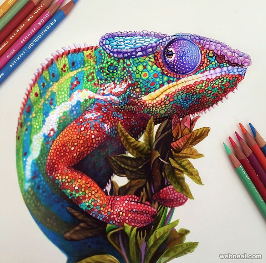 Piękne kolorowe rysunki ołówkiem od najlepszych artystów z całego świata, kolorowy rysunek Tapeta HD