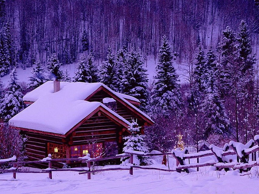 Cabins Wooden Trees Winter Cold Houses, Snowy Cottage HD wallpaper