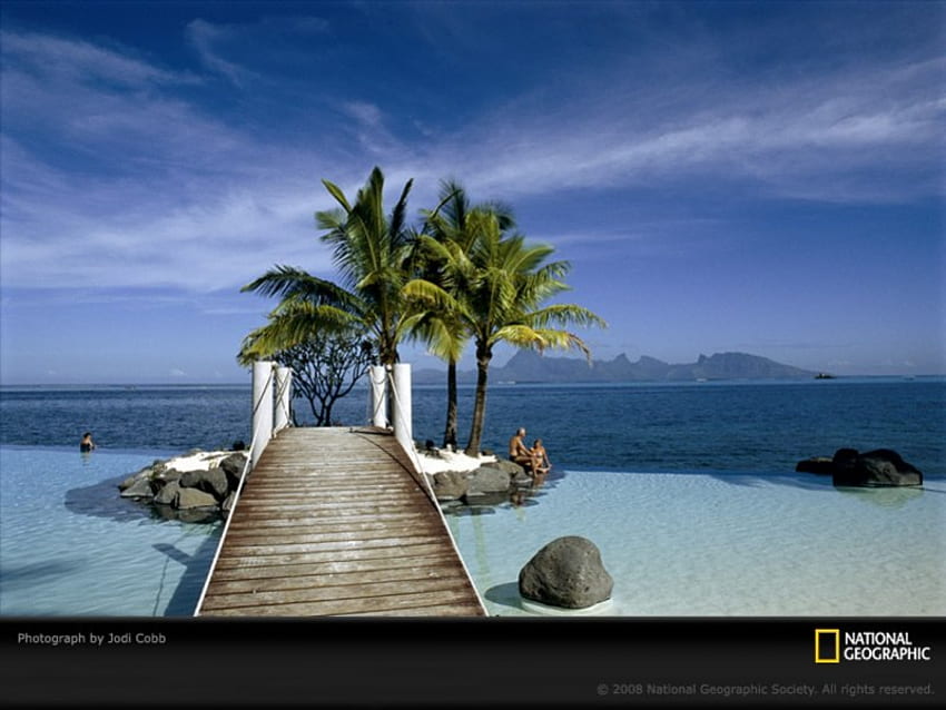 Dock and Palm Trees, Tahiti, tropical, beaches, paradise, nature, palm trees, tahiti HD wallpaper