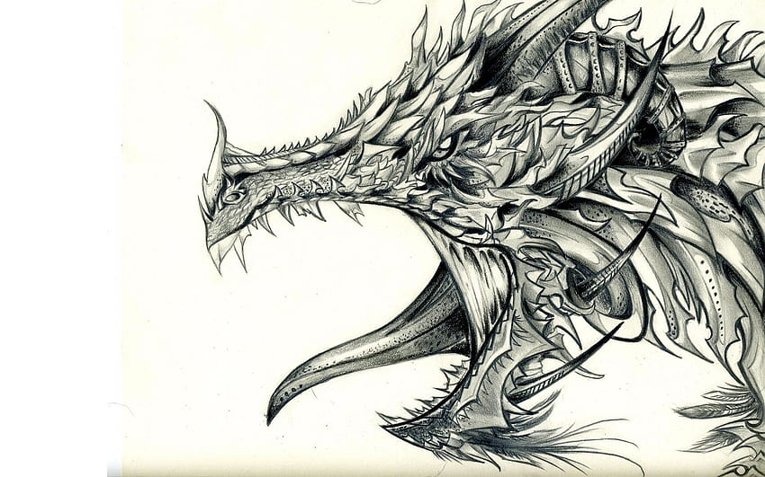 cool dragons pictures to draw