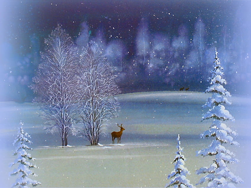 Foresta invernale, inverno, cervi, neve, freddo, alberi, sera Sfondo HD