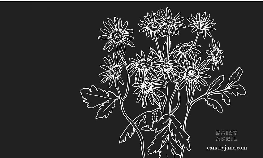 April Daisy Birth Flower Background & Coloring Page, Black and White Daisy HD wallpaper