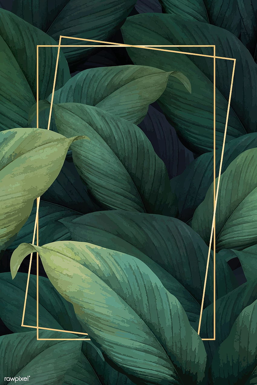 열 대 단풍 패턴 배경 벡터에 사각형 골드 프레임. 프리미엄 / 나. 다채로운, 아름다운, 액자, 미적 열대 잎 HD 전화 배경 화면