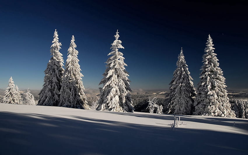Natur, Himmel, Sonne, Schnee, Geäst, Ast, Frost, Rauhreif, graues Haar, Schatten, Ate HD-Hintergrundbild
