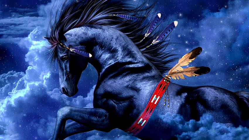 Appaloosa horse amazing | | Pinterest | Horse and HD wallpaper | Pxfuel