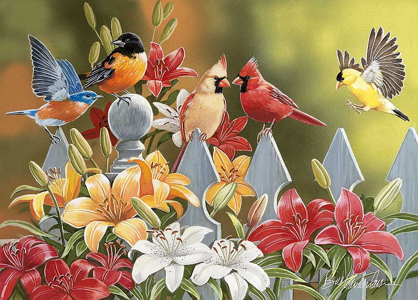 Pájaros en una cerca, flores, cardenales, pintura, colores, pinzones, flores, lirios fondo de pantalla