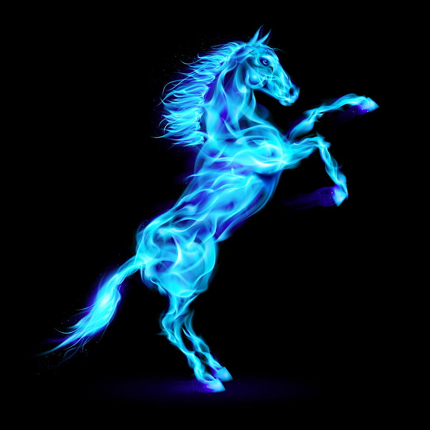 Blue Fire Horse, Flaming Horse HD phone wallpaper