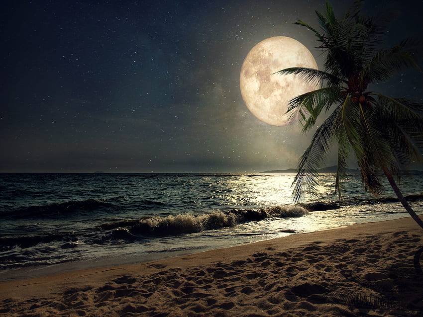 Beach Full Moon Day, Beautiful Moon HD wallpaper | Pxfuel