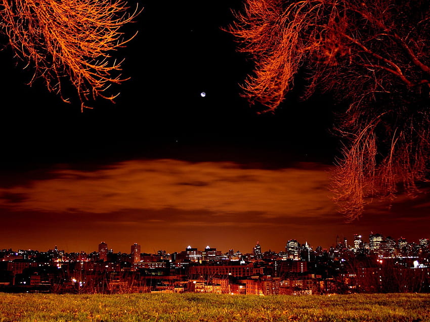 Night City, Nacht, Farbe, Stadt, Wolken, Bäume, Himmel HD-Hintergrundbild