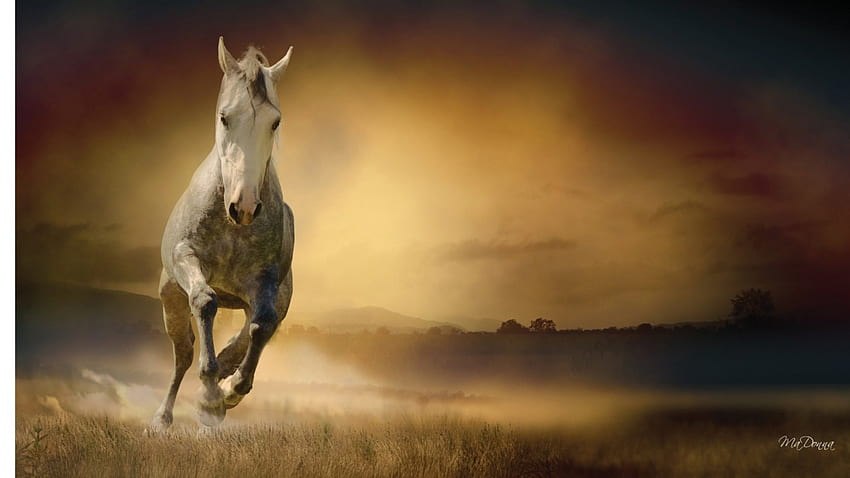 Running Horse Debu, debu, kuda, berlari, amber, berkuda, pertanian, emas, negara, peternakan, coklat, bidang, berdebu, padang rumput Wallpaper HD