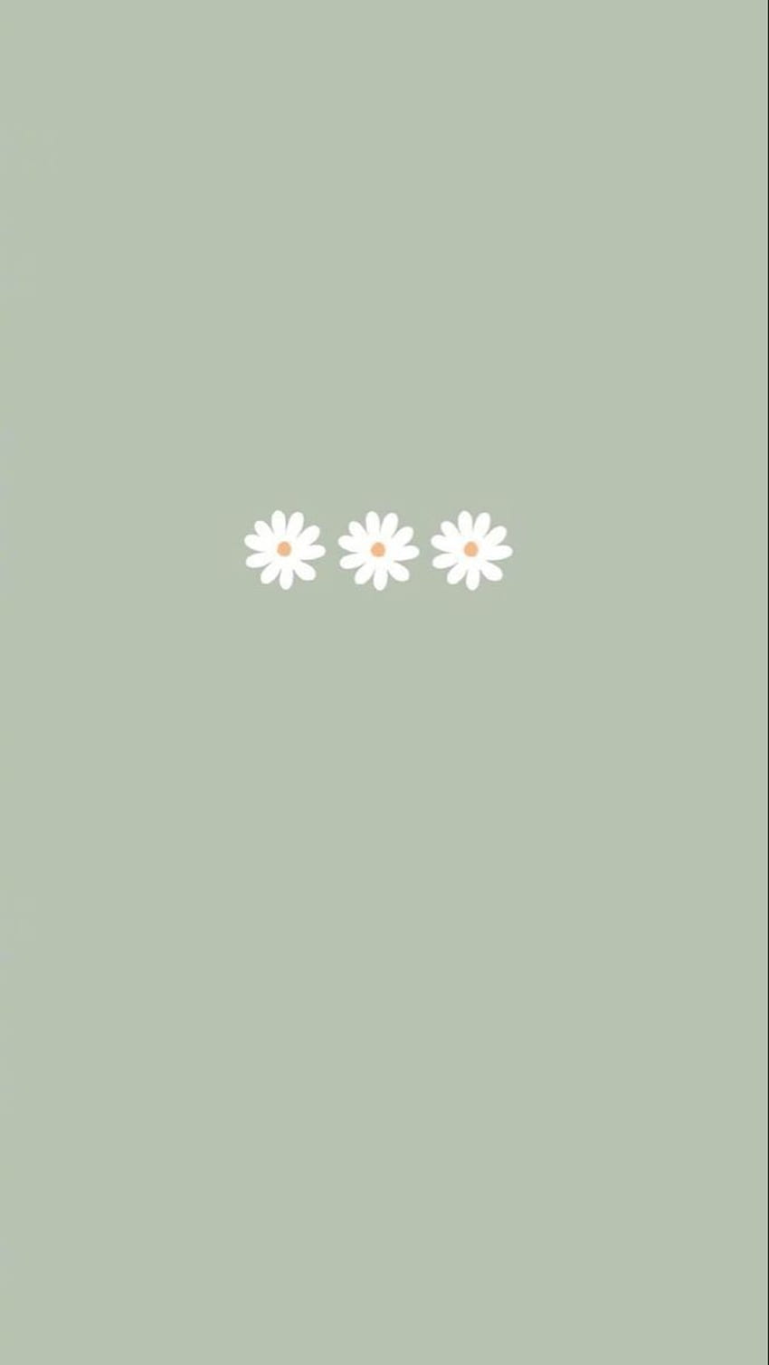 Minzblumen :). iPhone grün, einfach, niedlich einfach, grüne minimalistische Ästhetik HD-Handy-Hintergrundbild