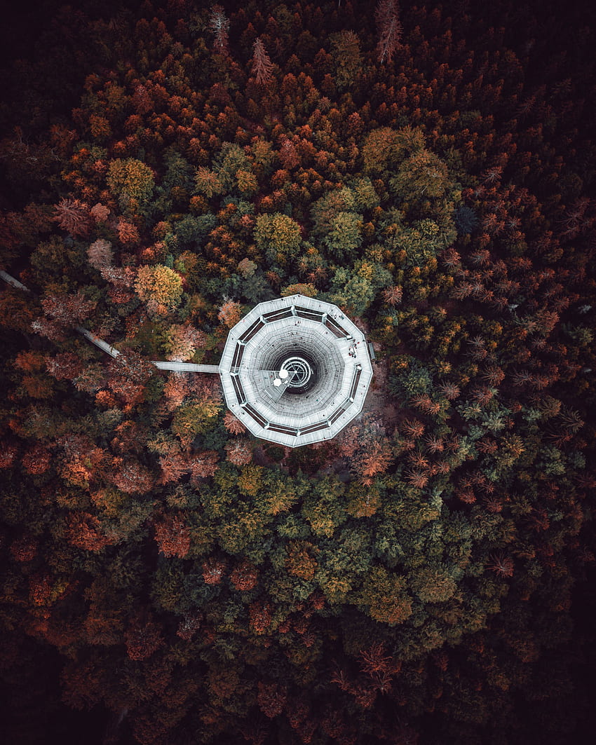 Nature, Trees, View From Above, Tower, Germany, Bad Wildbad HD phone wallpaper