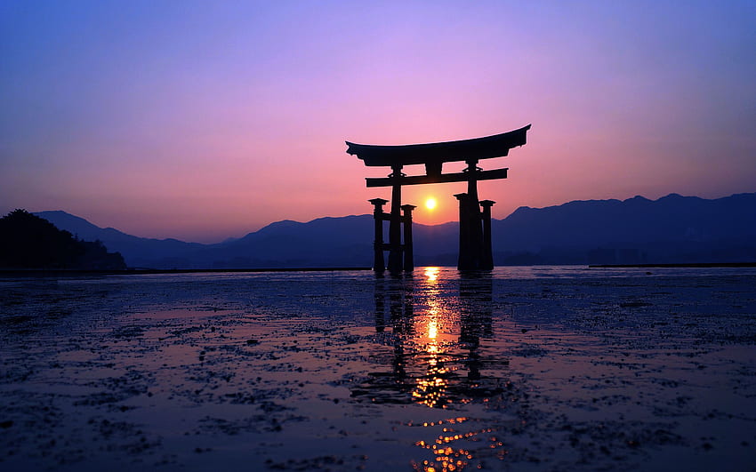 Japan Sunset Purple Evening Resolution , , พื้นหลัง และ ม่วงญี่ปุ่น วอลล์เปเปอร์ HD