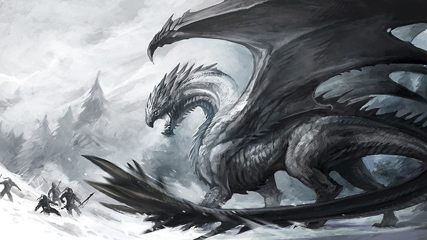 Dragon noir pour, Dragon haute définition Fond d'écran HD