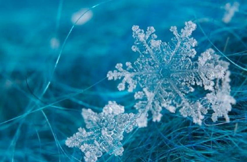 Snowflakes, winter, blue, art, christmas HD wallpaper