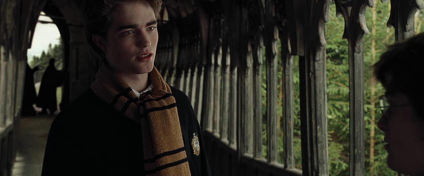 Goblet of Fire Cedric Diggory Screencaps - Cedric Diggory, Harry Potter Cedric Diggory HD wallpaper