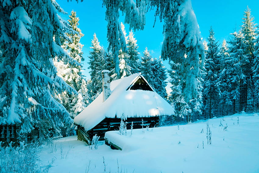 Winter, Nature, Snow, Poland, Forest, Small House, Lodge HD wallpaper