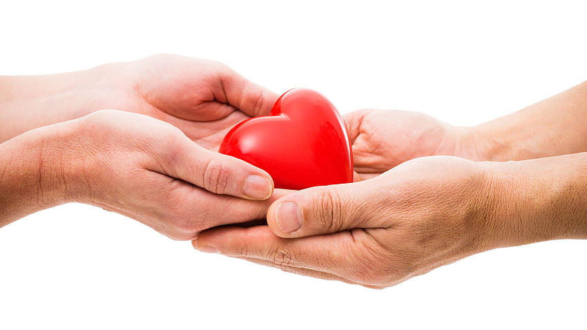 Deathxpert Opinion: Organ Donation and Home Funerals. The Order of the Good Death HD wallpaper