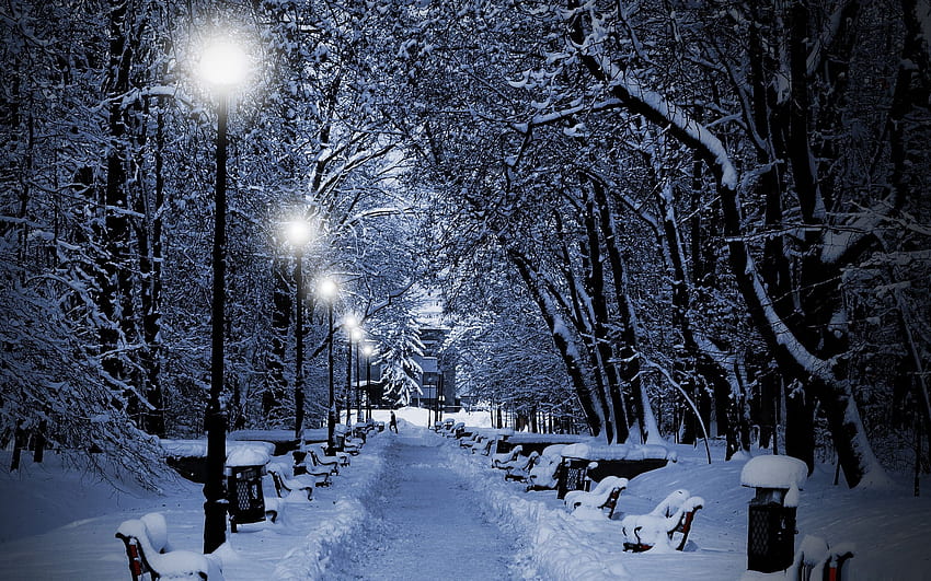 밤에 눈 덮인 공원 겨울 테마 미리보기, 겨울 폭풍 HD 월페이퍼