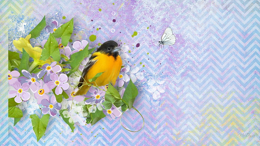 Bird of Summer, bird, , soft, spring, summer, butterfly, blossoms, lavender, flowers HD wallpaper