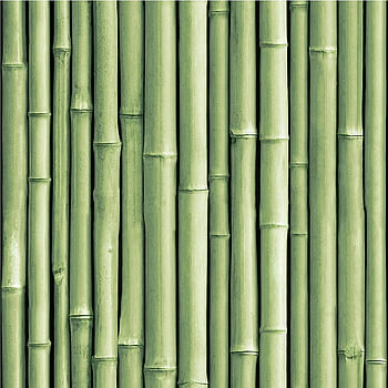 Download 1440p Bamboo Background Light Blue Tint  Wallpaperscom