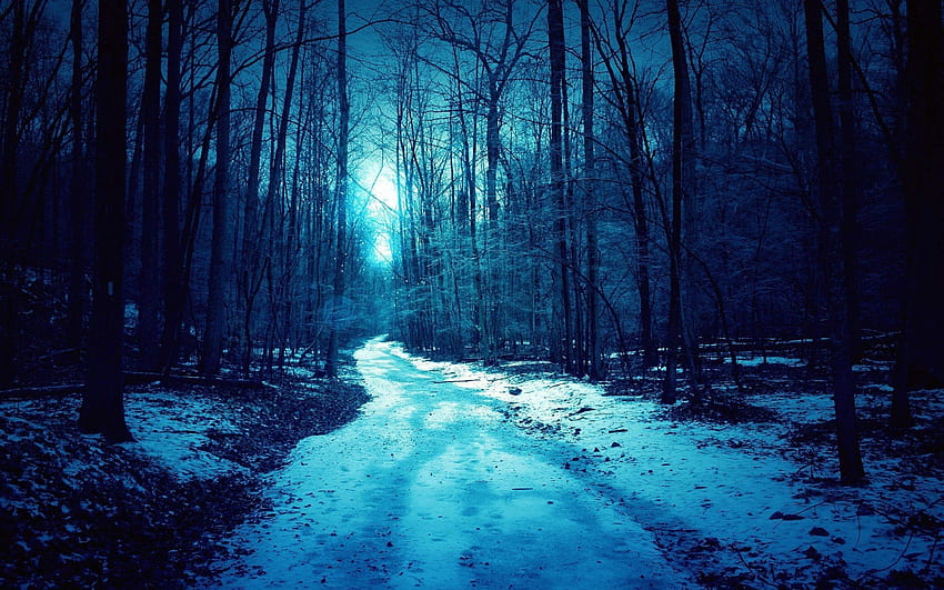 Bosque azul invierno oscuro camino espeluznante. . 632669 fondo de pantalla