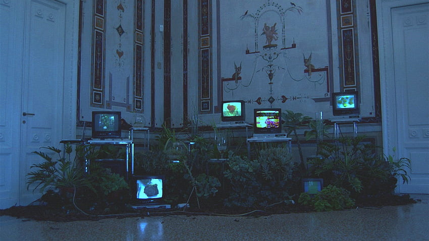 Yeşil yapraklı bitki, vaporwave, VHS, TV, herbaryum, VHS Aesthetic HD duvar kağıdı