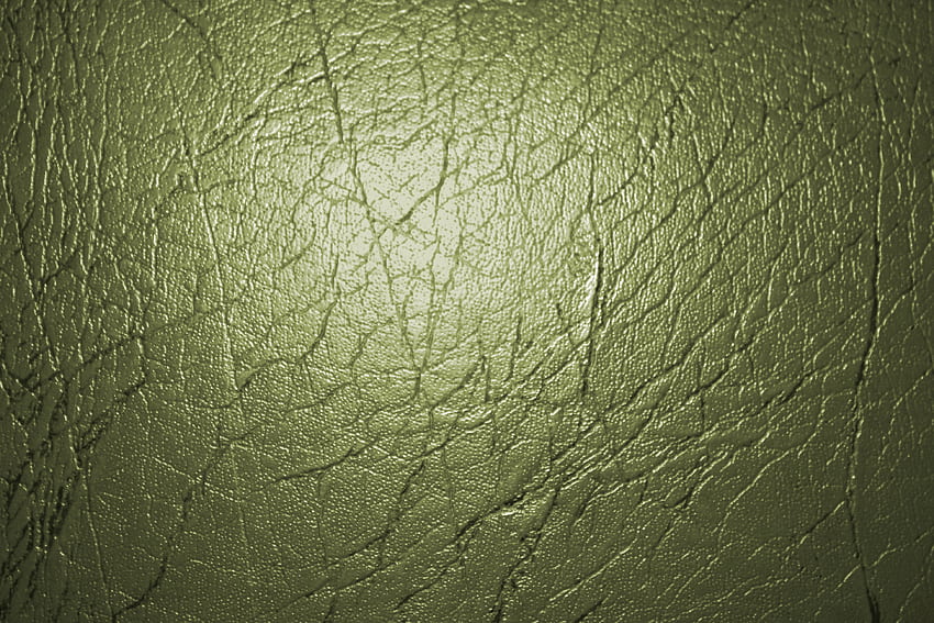 Olive Green Leather Texture graph Public [] for your , Mobile & Tablet.  Explore Olive Green . Olive Green , Olive Green , Olive HD wallpaper |  Pxfuel