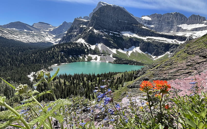 Glacier National Park, Montana, landscape, trees, sky, flowers, mountains, lake, usa HD wallpaper