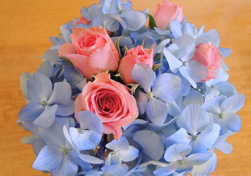 Благодаря за Карин, синьо, розово, рози, цветя, аранжировка HD тапет