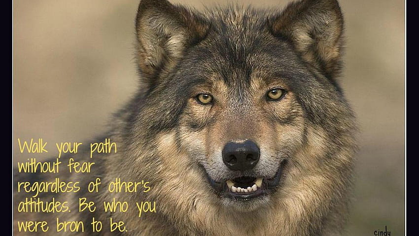 Wild Animal Quotes And Sayings. QuotesGram HD wallpaper | Pxfuel