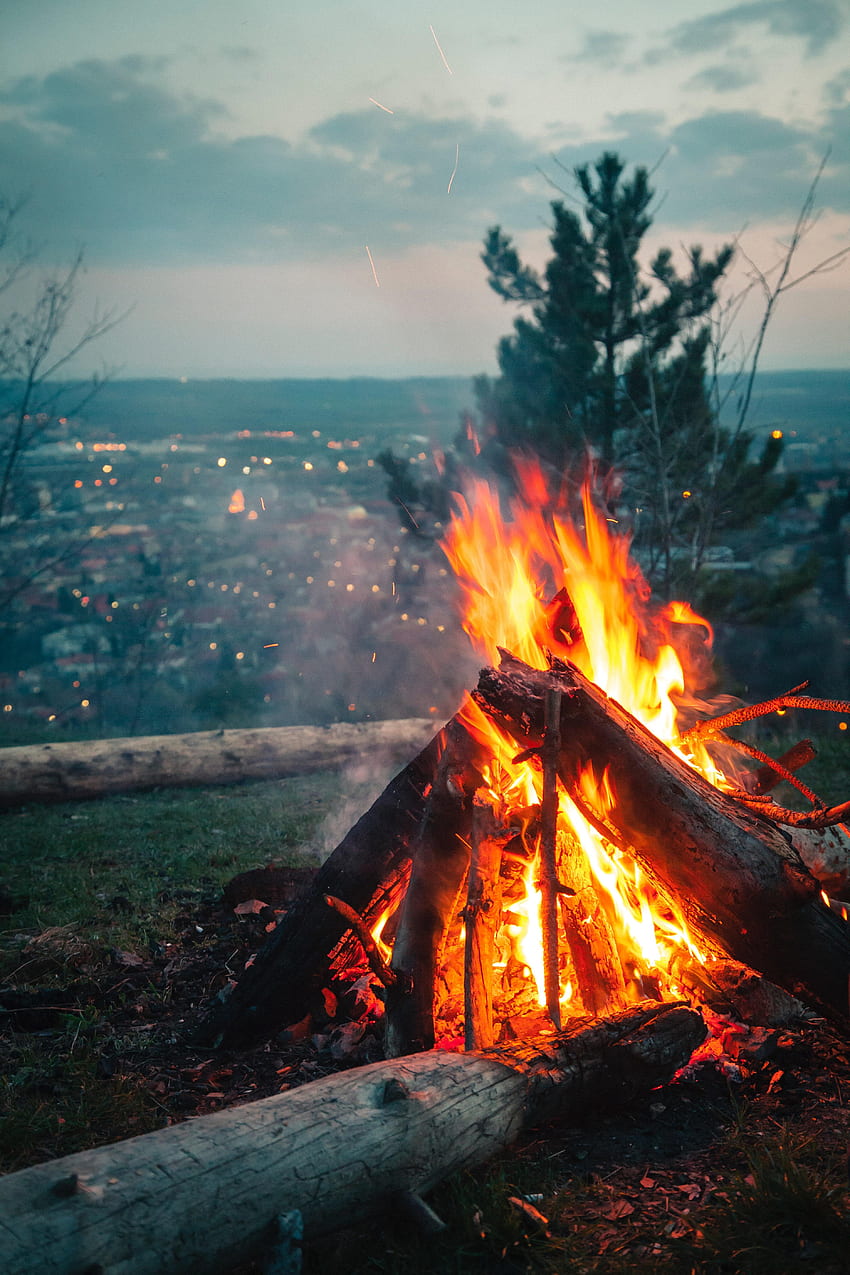Nature, Fire, Bonfire, Sparks, Journey, Camping, Campsite HD phone wallpaper