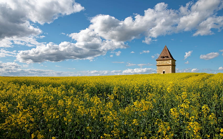 Pigeon House in Rapeseeds, clouds, rapeseeds, field, house, France HD wallpaper