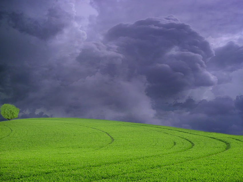 Amazing Landscape , Green Grass Under the Dark Sky, Will It Rain?. World, Rainy Sky HD wallpaper