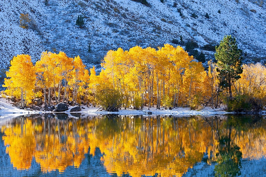 Musim gugur, salju, pohon, danau, gunung Wallpaper HD
