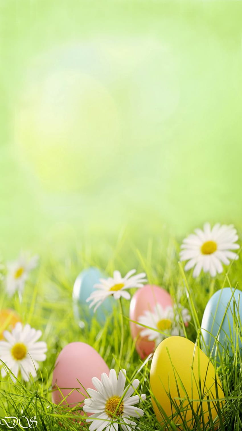 Easter Design studio. Happy easter , Easter , Easter background, Cute Easter Spring HD phone wallpaper
